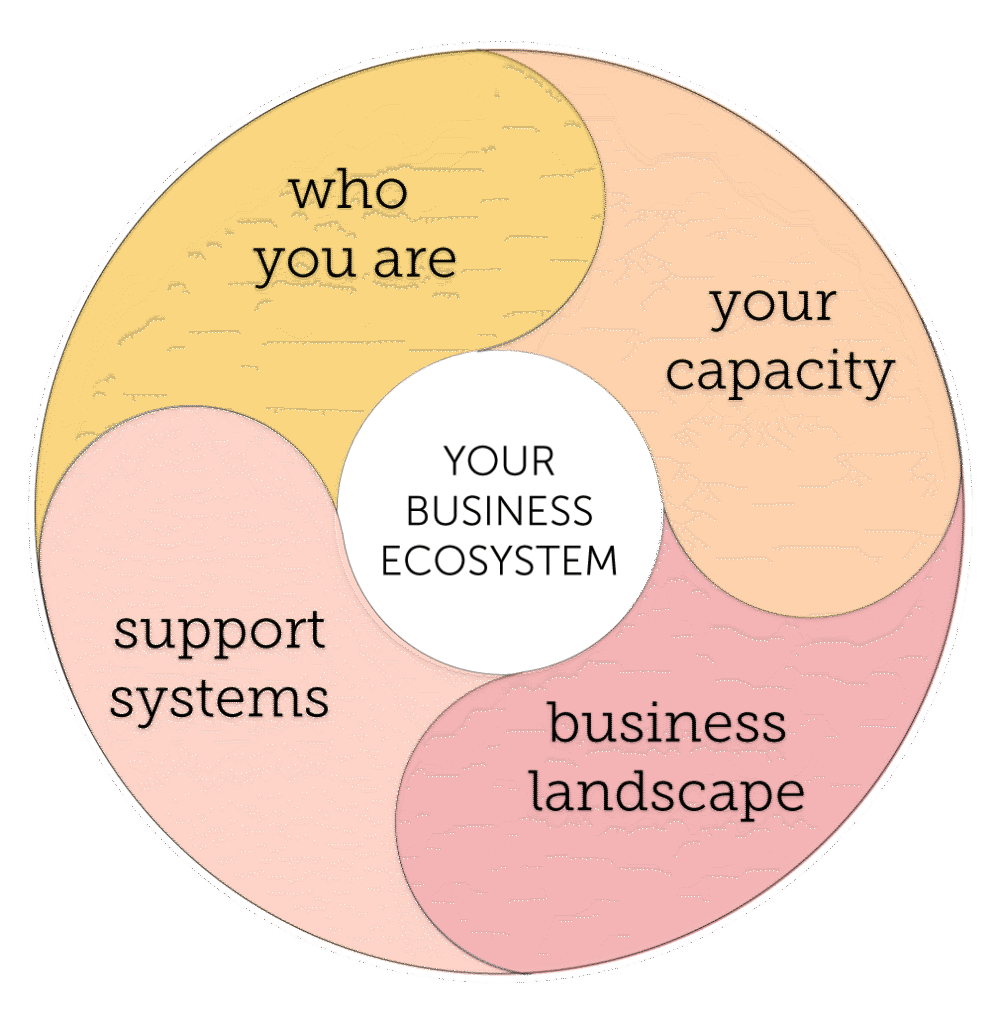 A circular infographic portraying the aspects that make up your Business Ecosystem. Namely who you are, your capacity, business landscape and your support systems